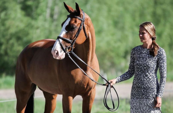 Torn by Annie Goodwin’s Tragic Passing, Boyd Martin Ensured Her Legacy Lived On With Fedarman B