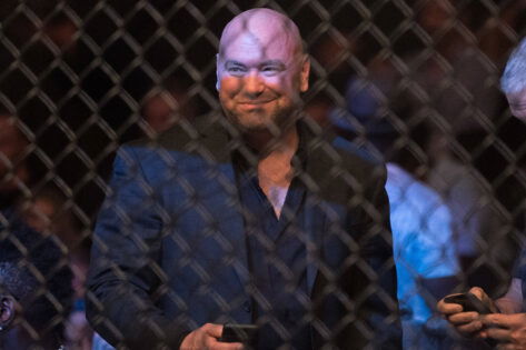 Dana White $500M Net Worth: Every Business Venture Owned by CEO Outside of the UFC